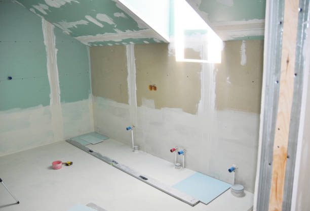 Best Real Estate Mold Inspection  in Despard, WV