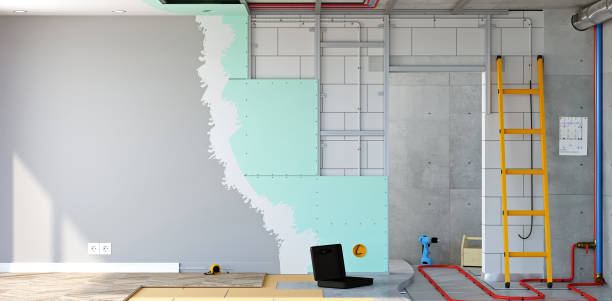 Best Post-Construction Mold Inspection  in Despard, WV