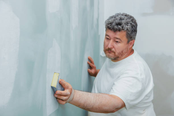 Trusted Despard, WV Mold Removal Experts