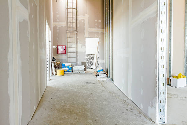 Best Mold Odor Removal Services  in Despard, WV